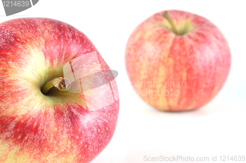 Image of Apple