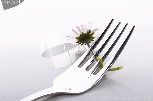 Image of flower and fork