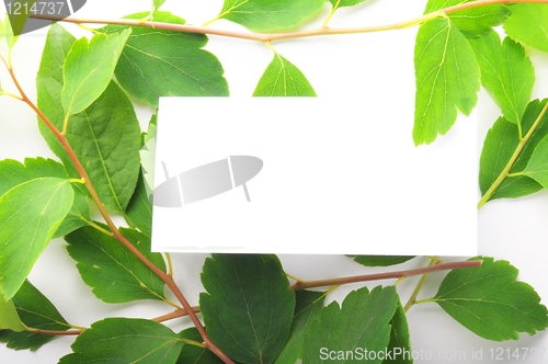 Image of paper