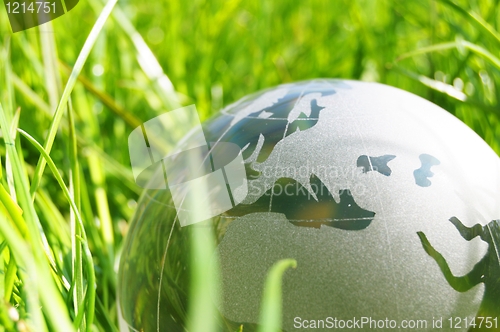 Image of glass globe or earth in grass