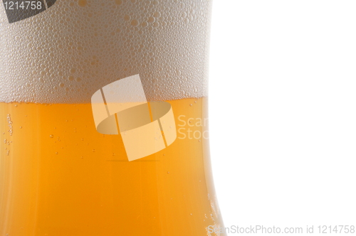 Image of glass of beer