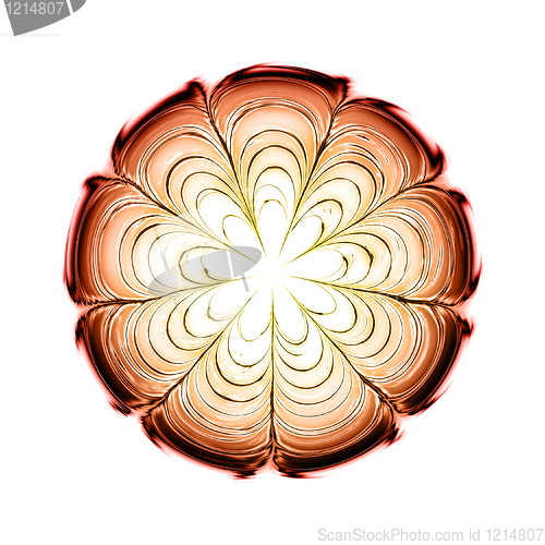 Image of abstract flower