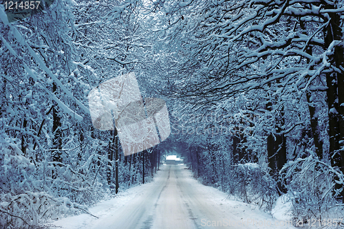 Image of country road in winter