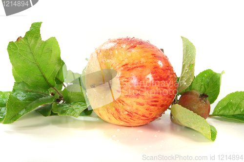 Image of Apple with leaves