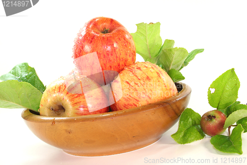 Image of Apples with leaves