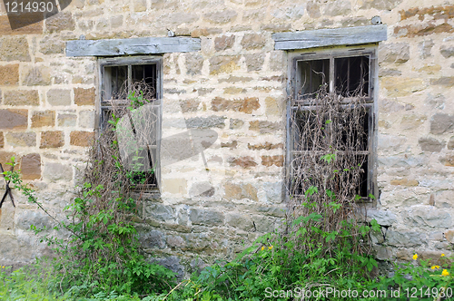 Image of Windows of Old Abandoned Mill