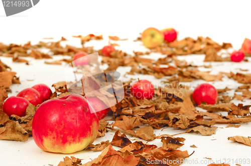 Image of Red apples