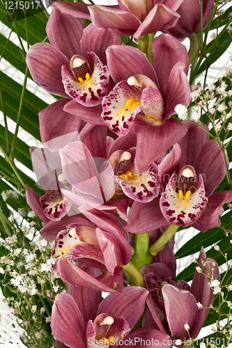 Image of bouquet of purple orchids