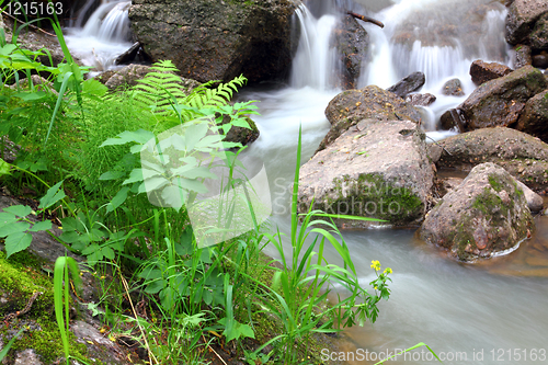 Image of waterfall stream in summer woods