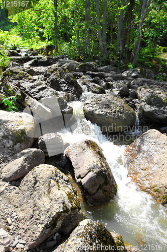 Image of waterfall in summer woods