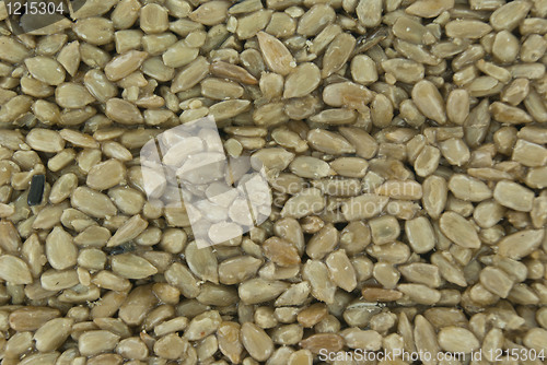 Image of Sunflower seeds as a background