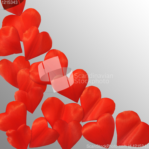 Image of Petals in heart shape over gray background - frame. Clipping path included.