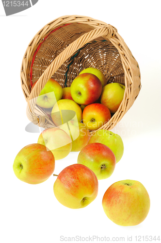 Image of Fresh apples spilling out of basket - isolated on white background. Clipping path included.