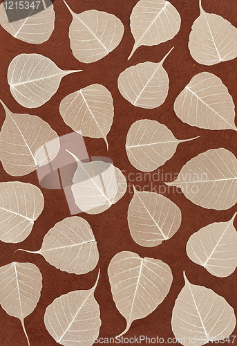 Image of Skeletal leaves over brown handmade paper - background