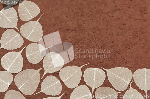 Image of Skeletal leaves over brown handmade paper - frame