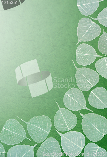 Image of Skeletal leaves over green handmade paper. Clipping path included.