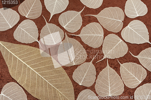 Image of Skeletal leaves over brown handmade paper - background