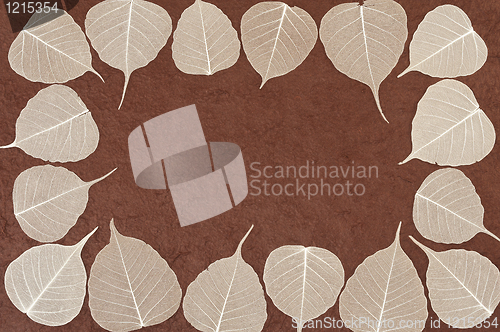 Image of Skeletal leaves over brown handmade paper - frame