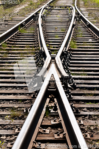 Image of grass between on the railway