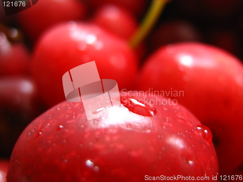 Image of Cherry