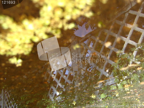 Image of After the rain
