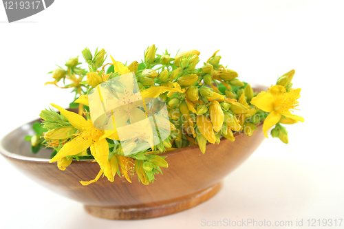 Image of St. John's wort