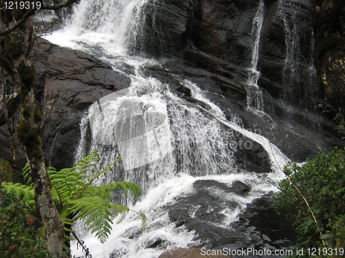 Image of Baker falls, Ceylon