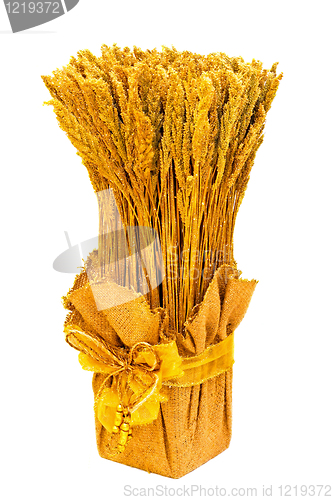 Image of Dry wheat