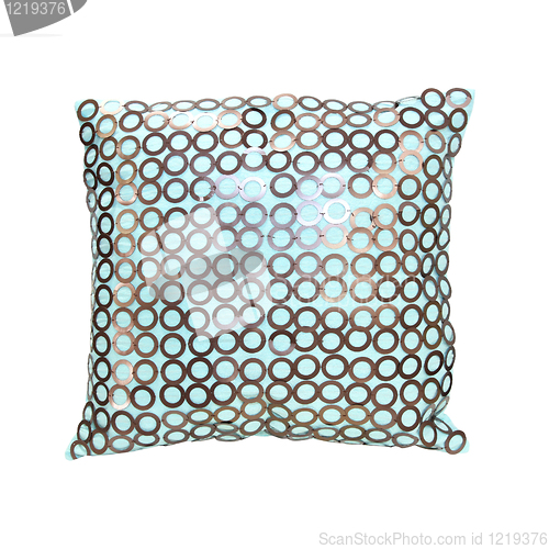Image of Shiny pillow