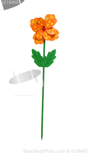 Image of Orange flower