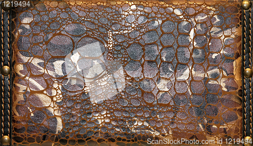 Image of Leather texture