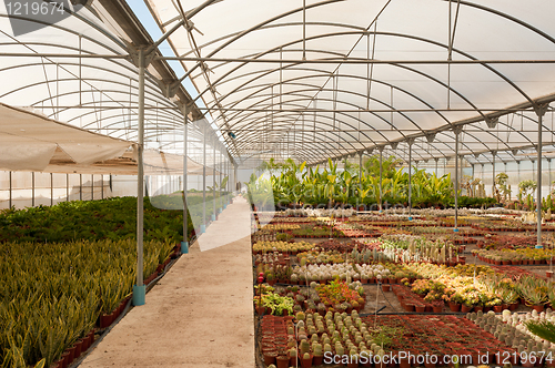 Image of Greenhouse