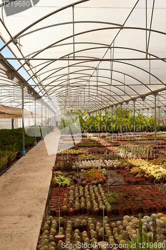 Image of Greenhouse