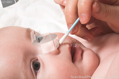 Image of Cotton Swab