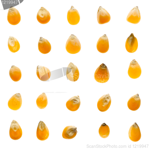 Image of Set of corn beans