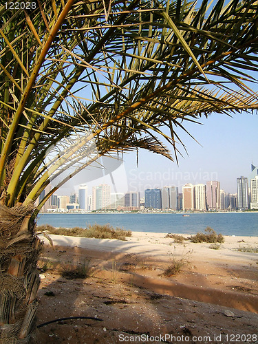 Image of Through the palm tree