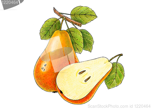 Image of two juicy pears