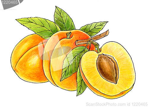 Image of three juicy peaches