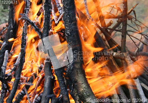 Image of burning wood in fire