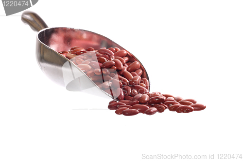 Image of bean