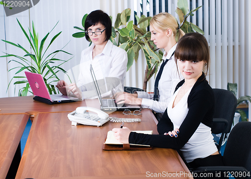 Image of Meeting of young business ladies