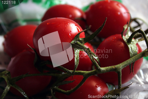 Image of Bunch of tomatoes