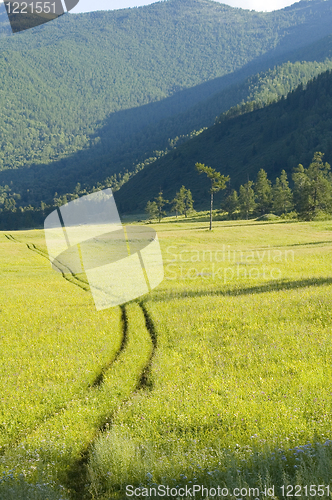 Image of Yellow road in mountains