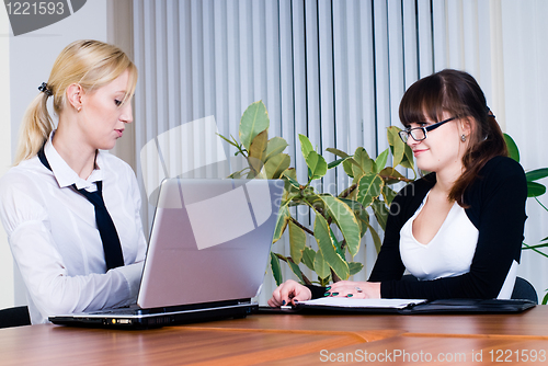 Image of Meeting of young business ladies