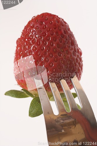 Image of strawberry macro