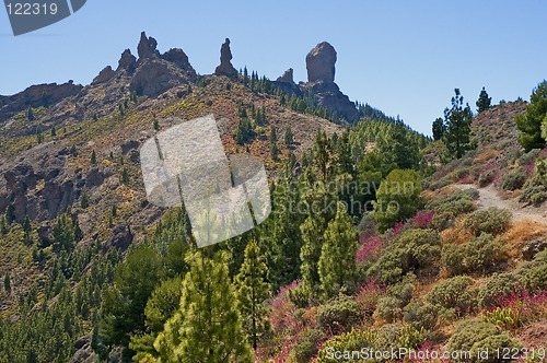 Image of Mountains walking