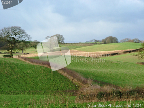 Image of english fields