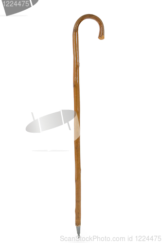 Image of Walking stick