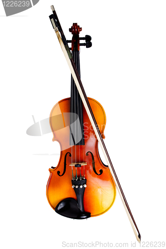 Image of Violin