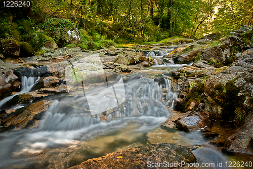 Image of River stream in Portugal